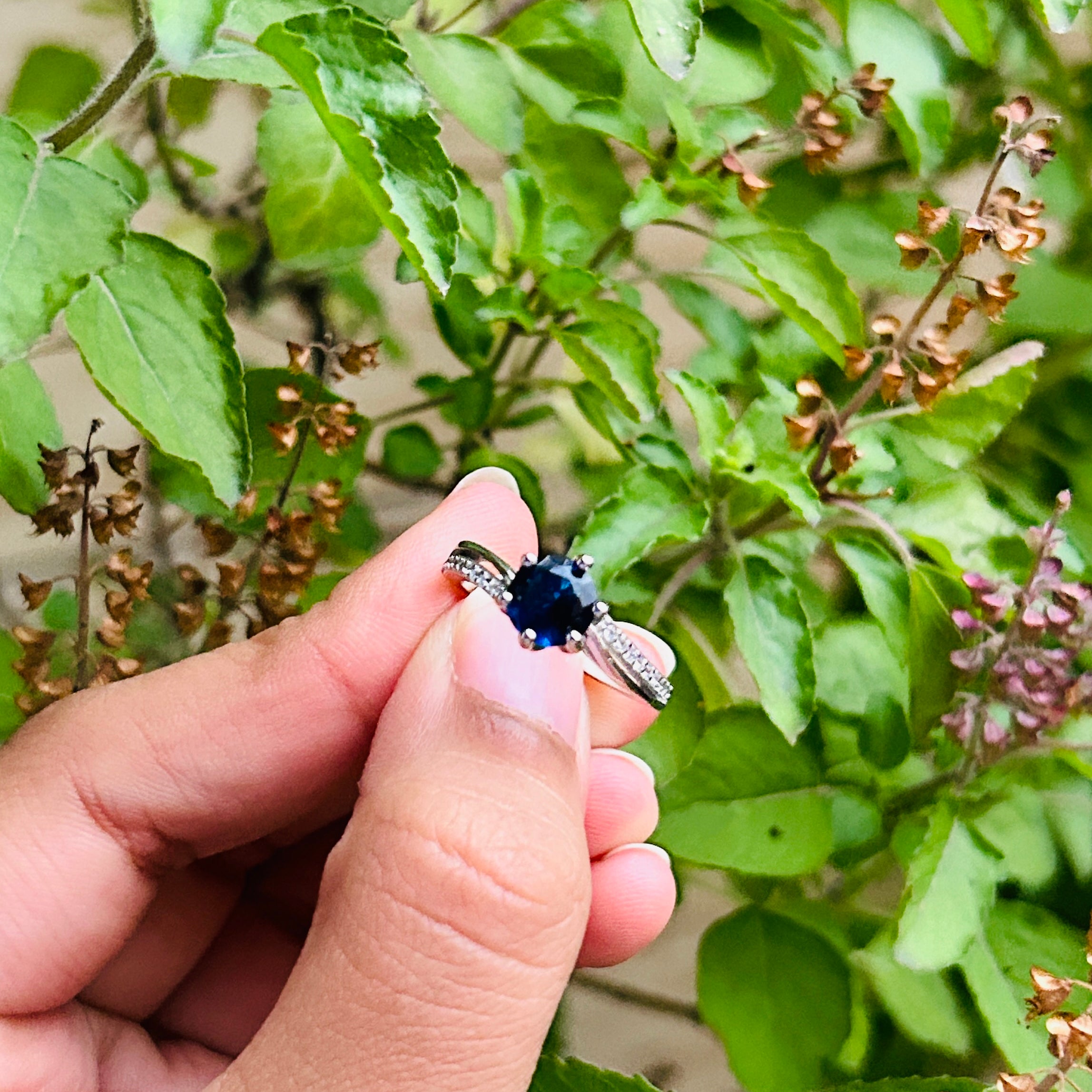 Princess Cut Blue- Variant 4